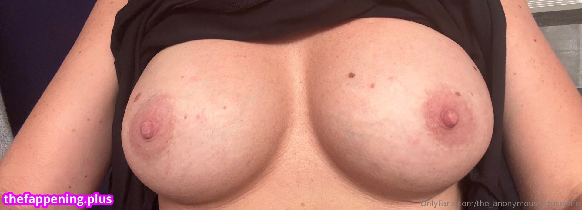the_anonymous_housewife